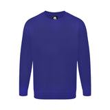 RoyalBlue